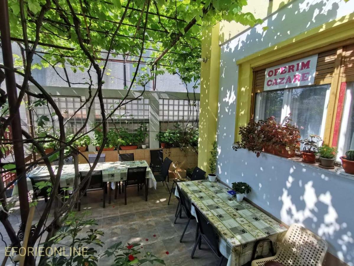 Vila Casacarp 南埃福列 外观 照片
